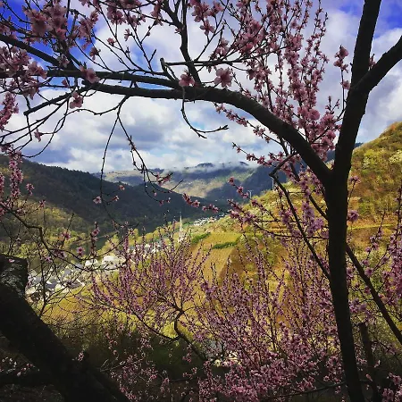 Frühstückspension Rehschopp 2*