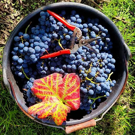 Rehschopp Alojamento de Acomodação e Pequeno-almoço