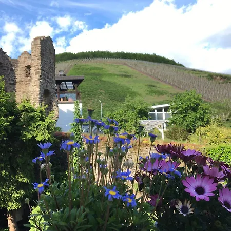 Bed & Breakfast Rehschopp Ediger-Eller