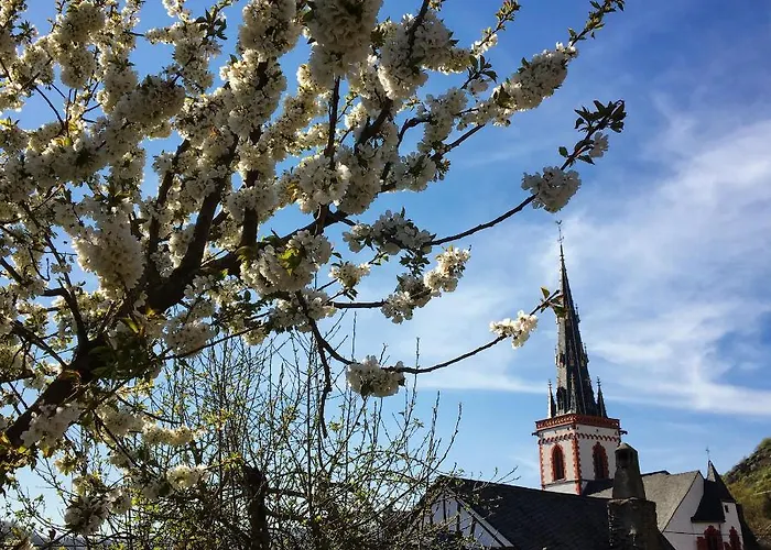 Frühstückspension Rehschopp